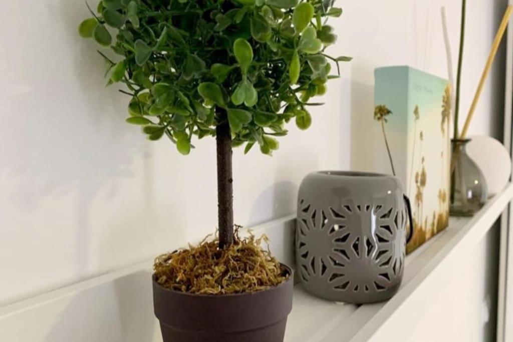 La Casa De Los Tiles 贝莱斯布兰科 外观 照片