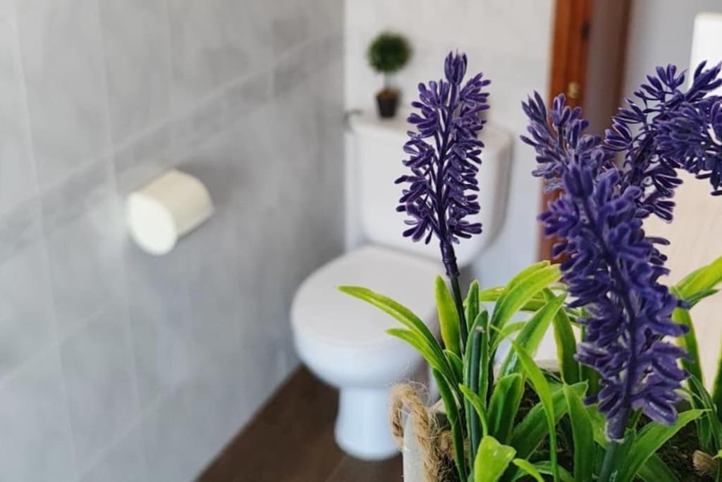 La Casa De Los Tiles 贝莱斯布兰科 外观 照片